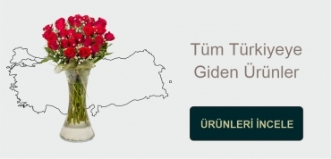 https://www.hayaldicicekcilik.com/